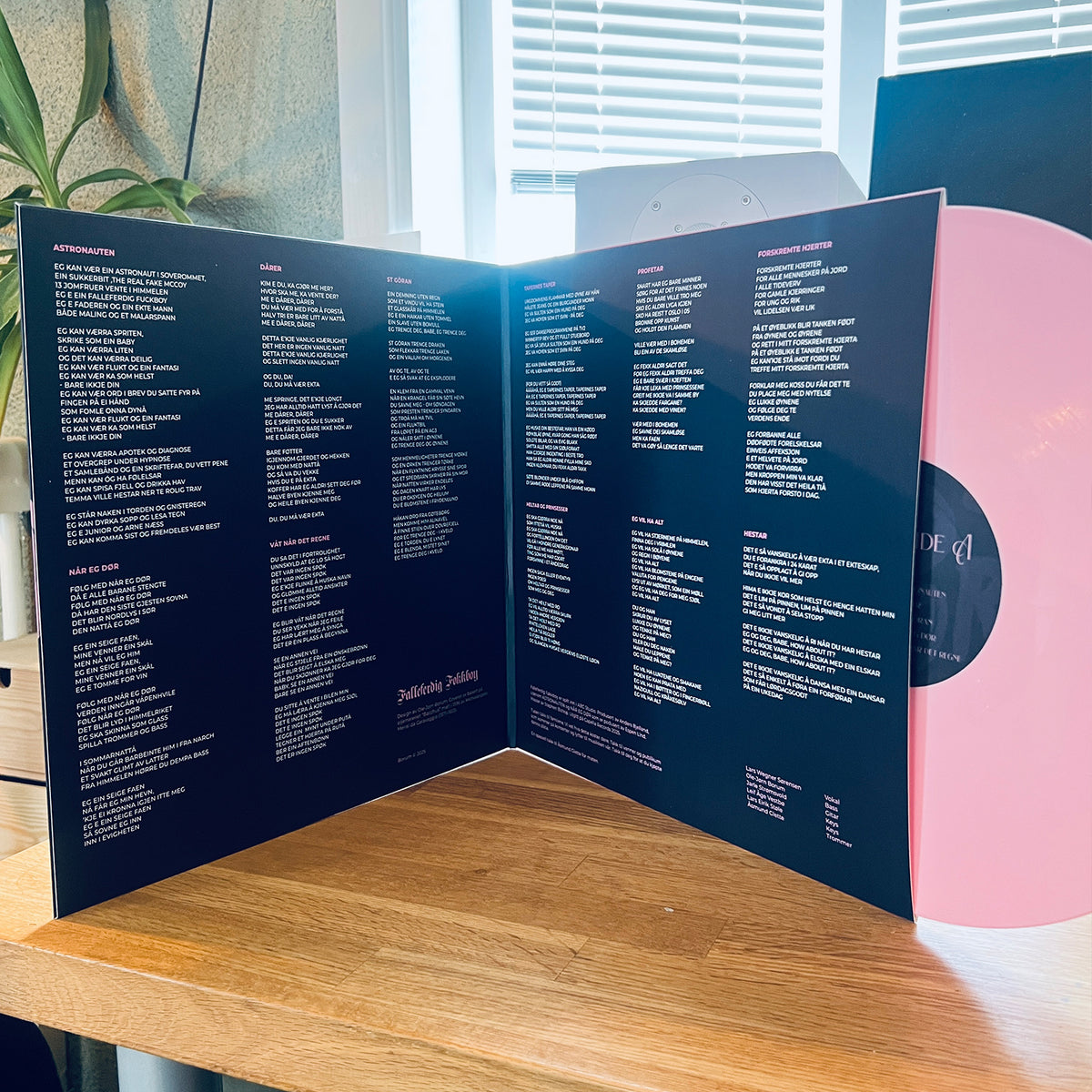 Vinyl: Falleferdig Føkkboy